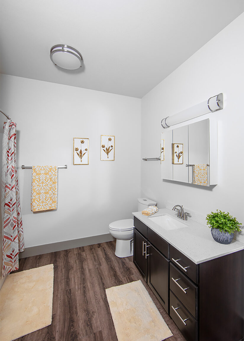 Senior Living Apartment Bathroom | 41 North Apartments